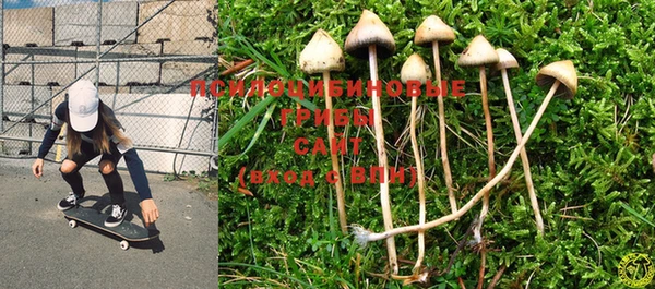 PSILOCYBIN Аркадак