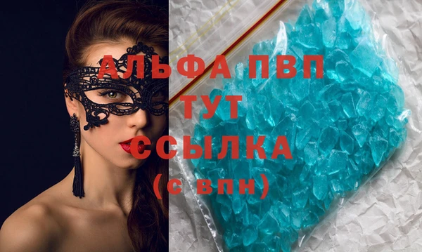 PSILOCYBIN Аркадак