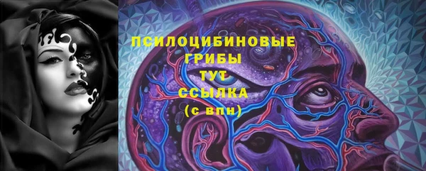 PSILOCYBIN Аркадак